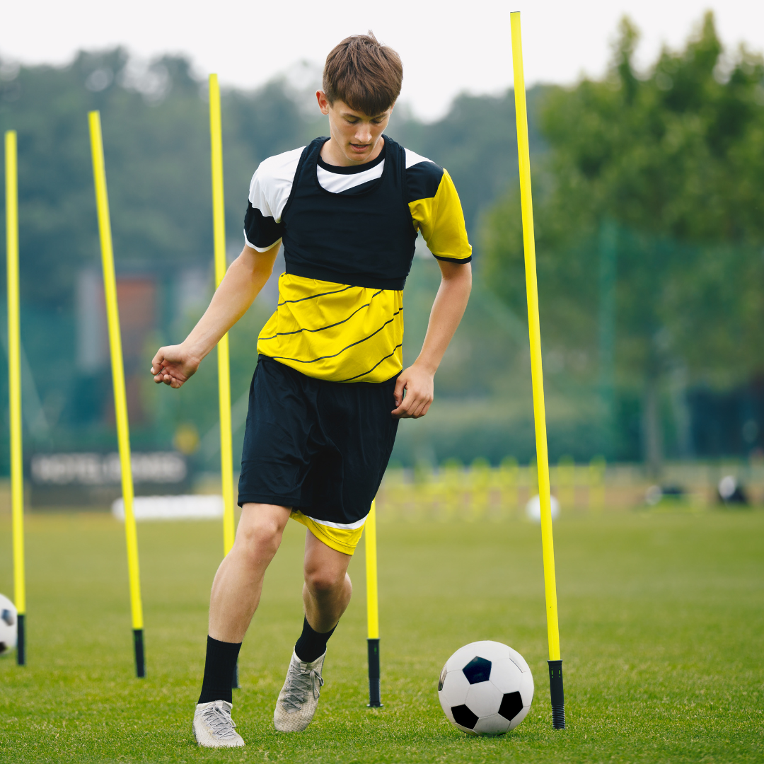 Agility Slalom poles Set of 6