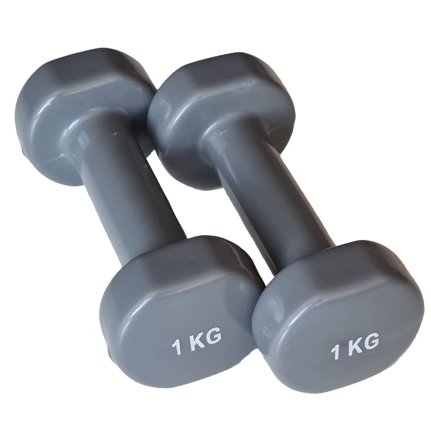 Vinyl Dumbbells Individuals