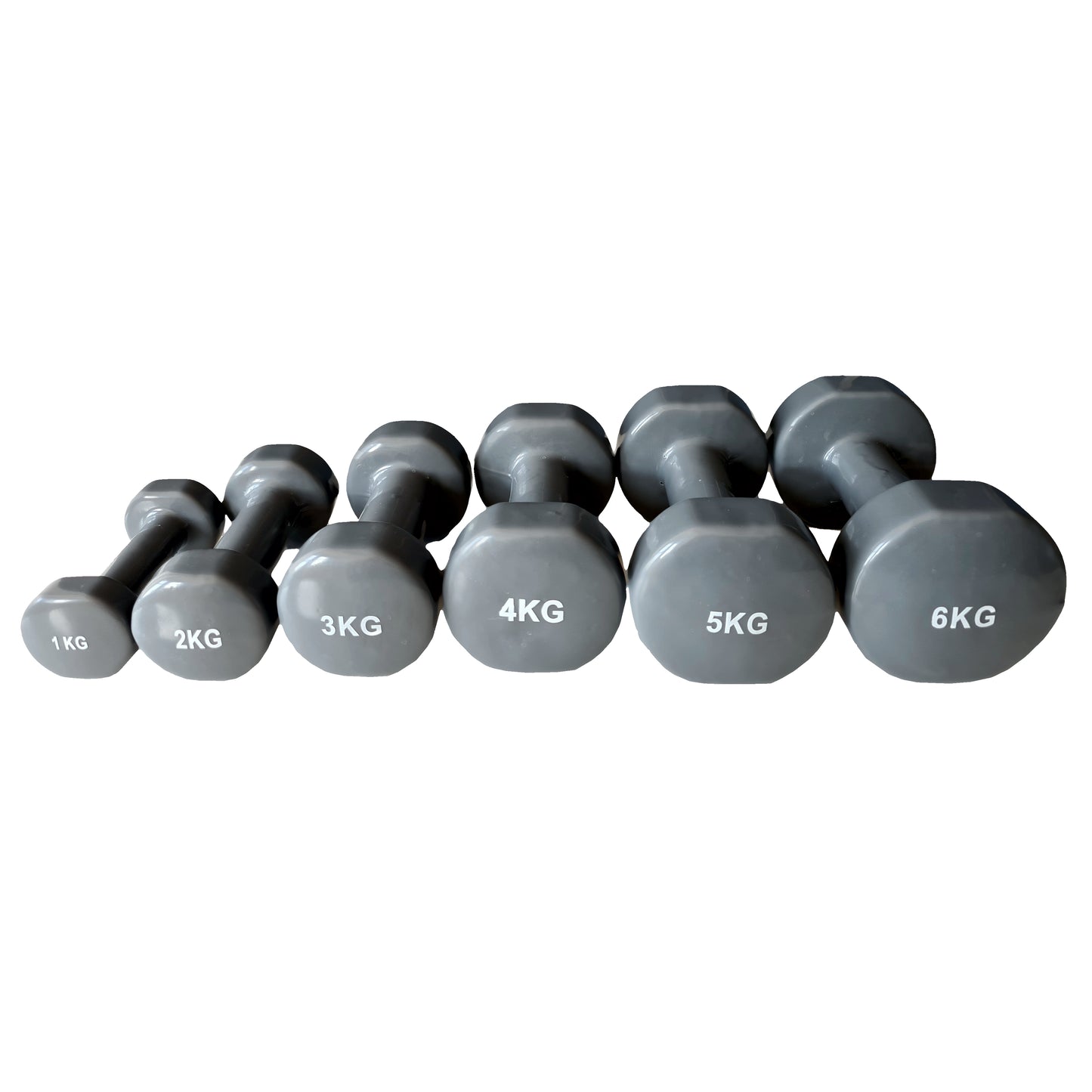 Vinyl Dumbbell Individuals