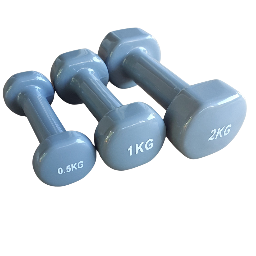 Vinyl Dumbbell 6 pack (3 Pairs)