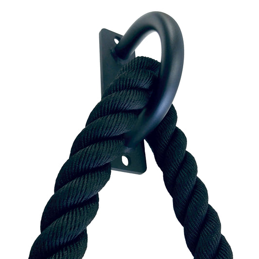 Battle rope mount